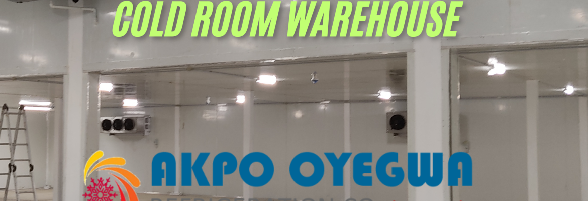 Cold room warehouse, Cold room warehouse in Nigeria, Cold storage warehouse requirements, Cold storage warehouse temperatures, Cold storage warehouse cost, Cold storage warehouse example (7)